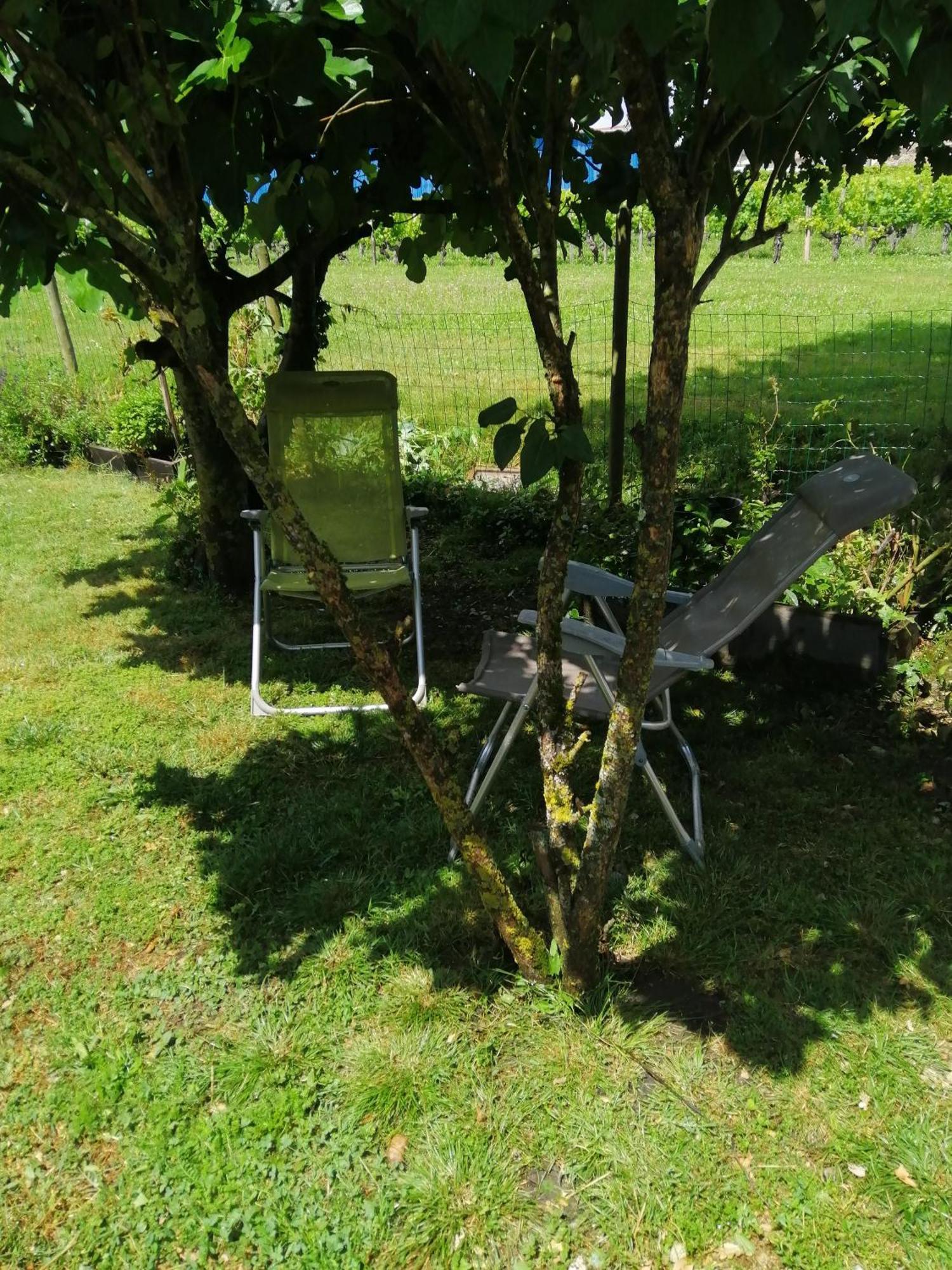Gite " Suzon" A Peyroutas Vignonet St Emilion מראה חיצוני תמונה