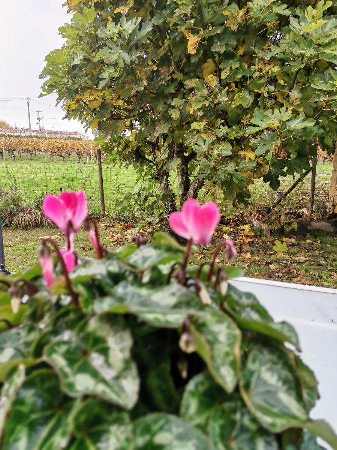 Gite " Suzon" A Peyroutas Vignonet St Emilion מראה חיצוני תמונה